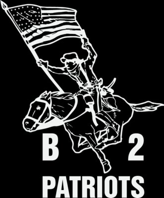 B2 1C Vector